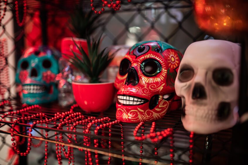 Sugar skull decorations (Day of the Dead décor) and red beaded garlands on a shelf inside The Pawn Shop YVR.